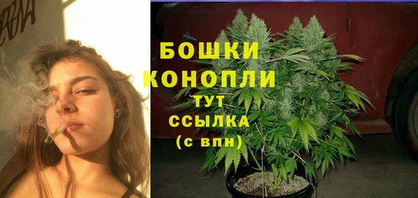 ПСИЛОЦИБИНОВЫЕ ГРИБЫ Армянск