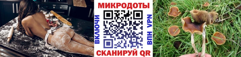 Галлюциногенные грибы Magic Shrooms  Сибай 